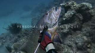 NEGROS ADVETURE || PERSONAL BEST HI-FIN CORAL TROUT || QUICK ESCAPADE 😲👉🐟