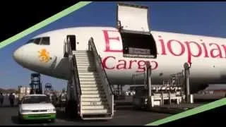 Ethiopian Airlines Boeing MD-11F Cargo celebrates 2016 70th Anniversary