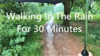 Walking In The Rain In English Countryside Under Umbrella - Sounds Of Rain & Wind - Walk In Nature