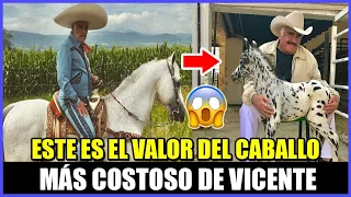 ¡UNA FORTUNA! ESTE ES EL VALOR DEL CABALLO MÁS COSTOSO DE VICENTE FERNÁNDEZ😱😱😢