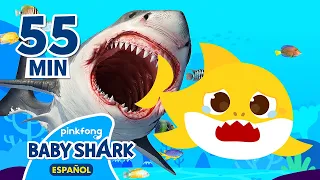 ¡No tengo miedo! | Un Aterrador Juego del Escondite con Tiburón Bebé | Mix | Baby Shark en español