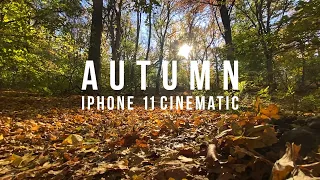 AUTUMN | ОСЕНЬ | iPhone 11 cinematic footage | test video