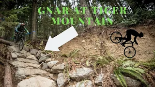 Tiger Mountain Bike Park Review