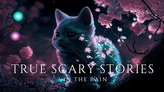 Raven's Reading Room 255 | TRUE Scary Stories in the Rain | The Archives of @RavenReads