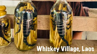 Whiskey Village | Ban Xang Hai | Snake Whiskey | Luang Prabang, Laos
