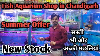 Fish Aquarium Shop in Chandigarh। Pet Shop in Chandigarh। Unique Lifestyle