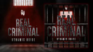 Dynamic Noise - REAL CRIMINAL