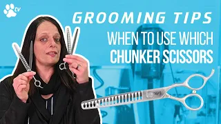 When to use which chunker scissors for dog grooming | Grooming Tips - TRANSGROOM