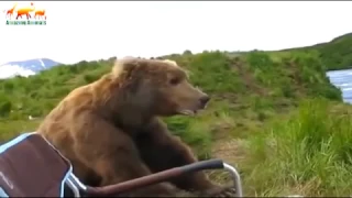 ЖЕСТЬ ШОК !! Нападения медведей на людей, СМОТРЕТЬ ВСЕМ!!! ( bear vs man )