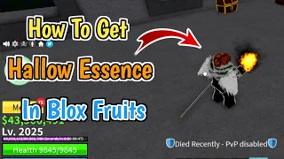 How To Get Hallow Essence Fast In Blox Fruits  (2024) | Complete Step By Step Guide