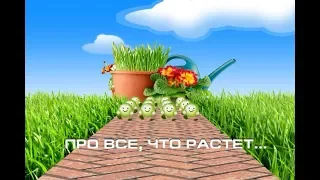 Зеленая передача 05 02 2019