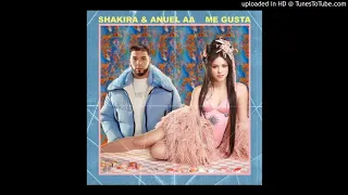 Shakira ft. Anuel AA - Me Gusta (Demo 2020 Remix)