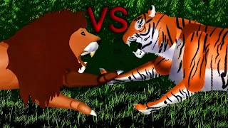 Siberian Tiger vs African Lion | @KO-MATION