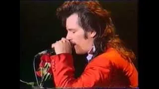 Willy Deville-Live in Paris'93- I must be dreaming&Heaven stood still