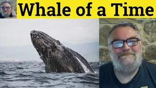 🔵 English Idioms Whale of a Time Meaning, Whale of a Time Examples ESL British English Pronunciation