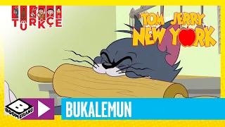 TOM VE JERRY NEW YORK'TA | Bukalemun | Boomerang TV Türkiye