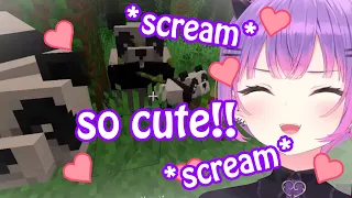 Towa Cute Reaction When She Found Panda & Baby Panda in Minecraft 【Hololive ENG Sub】