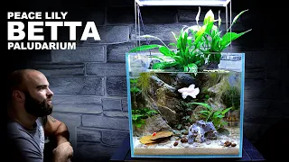 Peace Lily Betta Paludarium / Aquarium / Aquaterrarium: Aquascape Tutorial