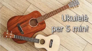 Kaip groti ukulele per 5 min.