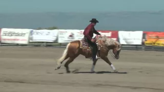 Wimpys Whiz Steps ridden by Tom Foran  Reining By the Bay 2014  Draw 26 Draw 709