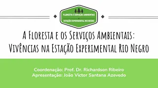 Exercício resolvido: Como contabilizar o volume de madeira por estéreo.