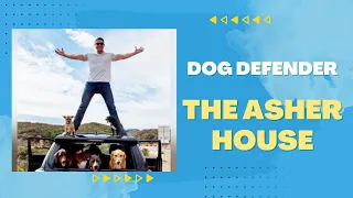 The Dog Defender: Rare facts and Favorite Dog Rescues with Lee Asher and The Asher House Rescue