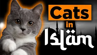 Cats in Islam