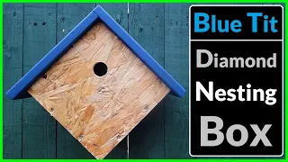 How to Make a Diamond Shaped Blue Tit Nesting Box (Scrap Wood Project)