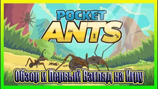 ОБЗОР И ПЕРВЫЙ ВЗГЛЯД НА ИГРУ / Pocket Ants: Симулятор Колонии №1