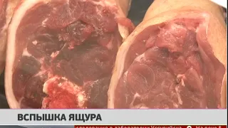 Вспышка ящура. Новости 04/02/2019. GuberniaTV