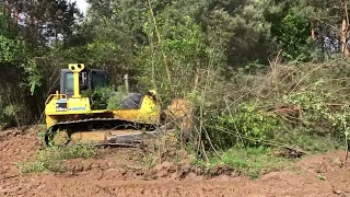 Розліснення полів та корчування чагарників , дерев , пнів