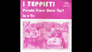 - I TEPPISTI - 1974 / 1976  - New Star Records