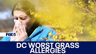 DC named worst city for grass allergies