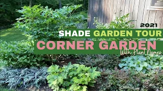 Corner Shade Garden Tour // Best plants for shade