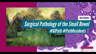Surgical Pathology of the Small Bowel
