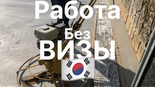 🇰🇷 работа нелегала на территории прокуратуры