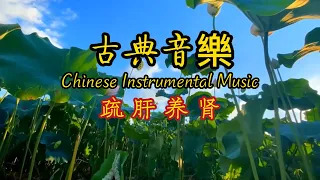 五行能量养生音乐,木音疏肝养肝入肝,五音療疾 调养五脏,护肝疗愈,疏肝解郁,好聽的中國古典音樂,清除負能量,平靜心靈身心靈,憂鬱症焦慮躁鬱音樂|Chinese Instrumental Music