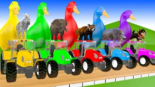5 Giant Duck, Monkey, Piglet, chicken, dog, cat, cow, Sheep, Transfiguration funny animal 2024