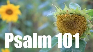 Psalm 101 - Vorsätze eines Königs