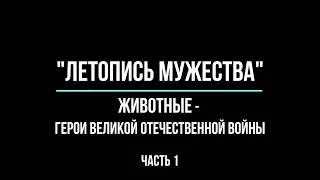 Летопись мужества. Животные - герои Великой Отечественной войны. Часть 1.