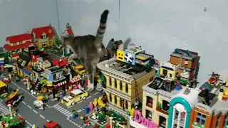 Cat Attacks Lego City!!!