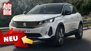 Peugeot 3008 Facelift (2020): Sitzprobe - Neuvorstellung - Info