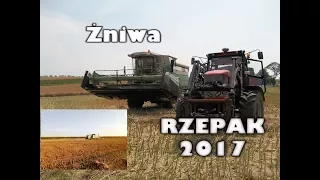 Żniwa Rzepakowe 2017 ✪ Fortschritt MDW 524 -Zetor ✪ Mati Podkarpacie ㋡