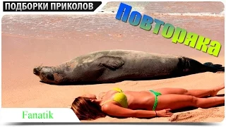 ПОДБОРКА ВЗРОСЛЫХ ПРИКОЛОВ 2015 ⁄ Epic FAILS Compilation 2015 (подборка#6)