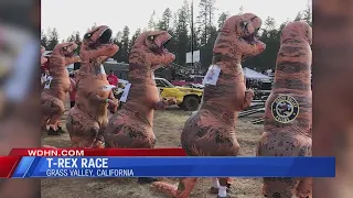 T-REX RACE