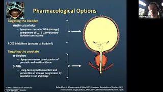 BPH Management in Elderly Patients - EMPIRE Urology Lecture Series