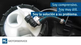 Módulo dentro del depósito Mercedes-Benz - Motorservice Group