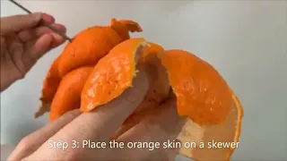 陈皮 Dry Aged Mandarin Orange Peel