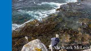 How To Fish The Hitch For Salmon