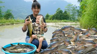 Single girl harvests field carp - Goes to market to sell, Caring for orphan boy | Em Tên Toan